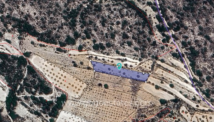 Venta - Parcela - Terreno - Monóvar - Monòver - Monóvar - Monòver Centro