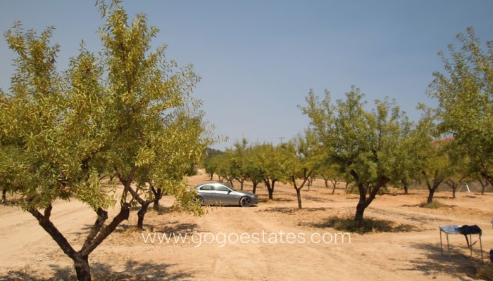 Te koop - Huis - Vrijstaande Villa - Pinoso - Pinoso Centro