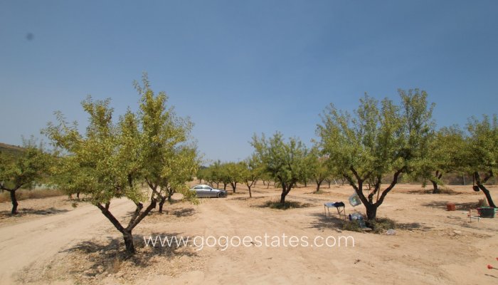 Te koop - Huis - Vrijstaande Villa - Pinoso - Pinoso Centro