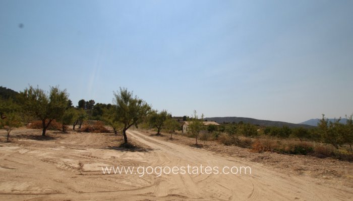 Te koop - Huis - Vrijstaande Villa - Pinoso - Pinoso Centro