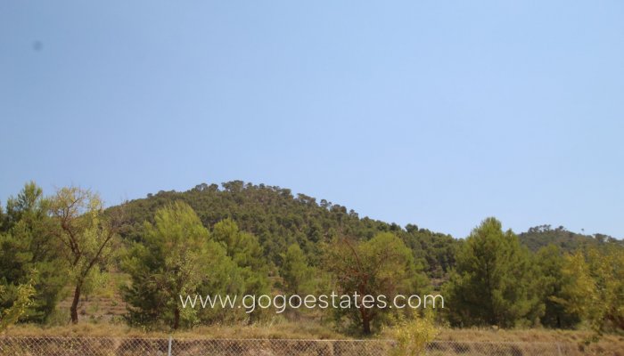 Te koop - Huis - Vrijstaande Villa - Pinoso - Pinoso Centro