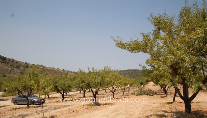 Te koop - Huis - Vrijstaande Villa - Pinoso - Pinoso Centro