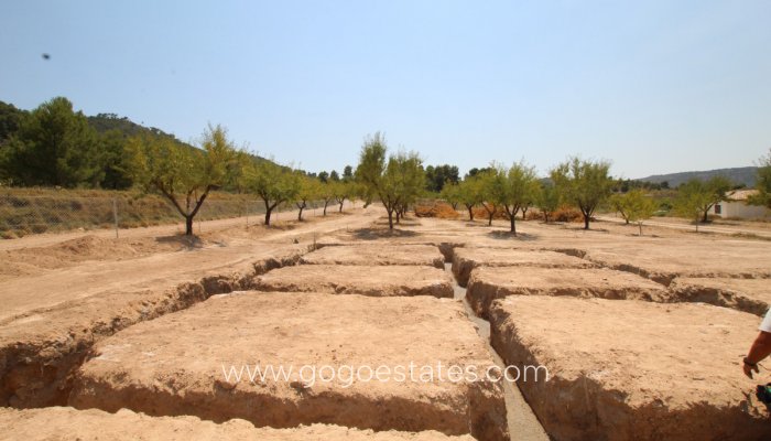 Te koop - Huis - Vrijstaande Villa - Pinoso - Pinoso Centro