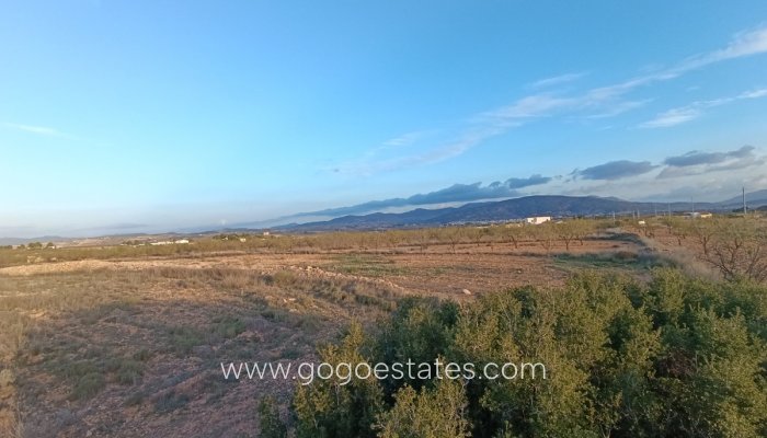 Te koop - Perceel - Land - Pinoso - Pinoso Centro