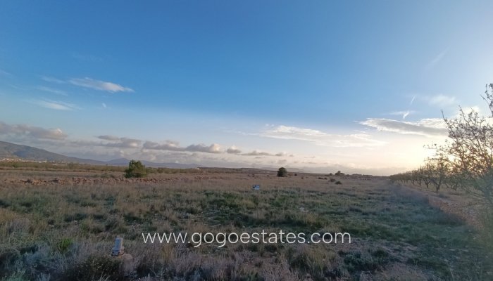 Te koop - Perceel - Land - Pinoso - Pinoso Centro