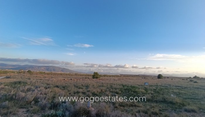 Te koop - Perceel - Land - Pinoso - Pinoso Centro