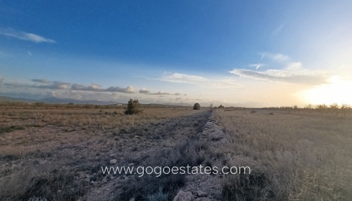 Te koop - Perceel - Land - Pinoso - Pinoso Centro