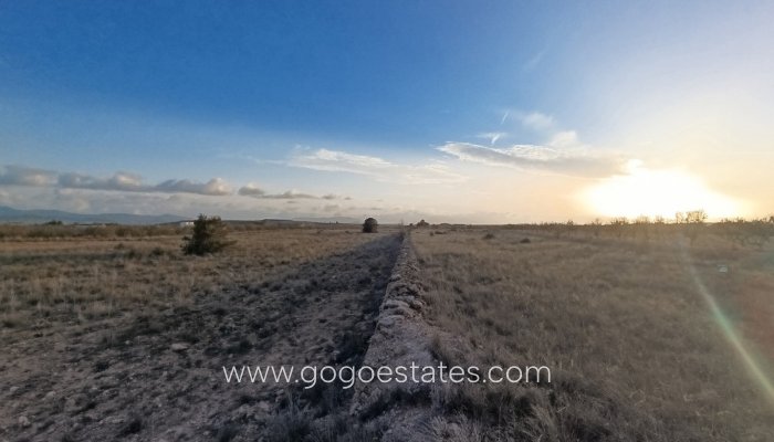 Te koop - Perceel - Land - Pinoso - Pinoso Centro