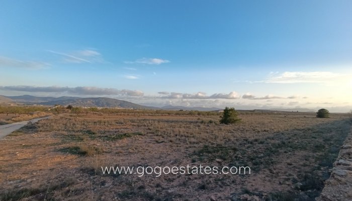 Te koop - Perceel - Land - Pinoso - Pinoso Centro