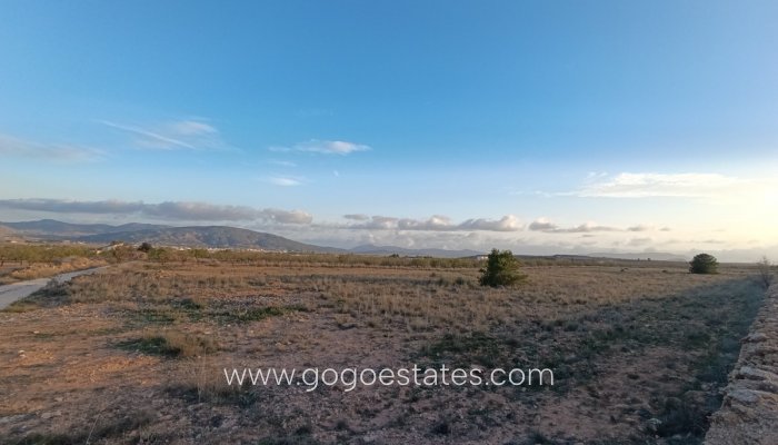 Te koop - Perceel - Land - Pinoso - Pinoso Centro