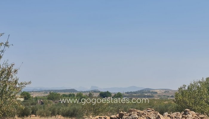 Te koop - Perceel - Land - Pinoso - Pinoso Centro