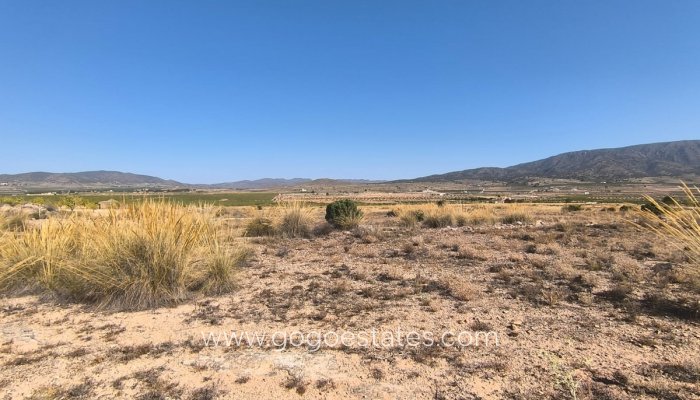 Te koop - Perceel - Land - Pinoso - Aspe