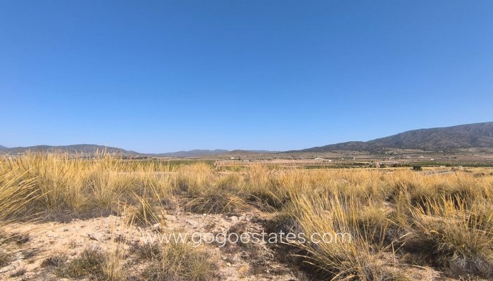 Te koop - Perceel - Land - Pinoso - Aspe