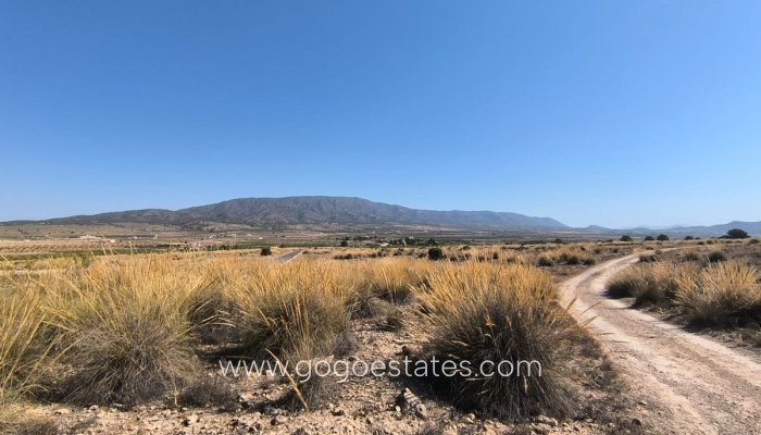 Te koop - Perceel - Land - Pinoso - Aspe