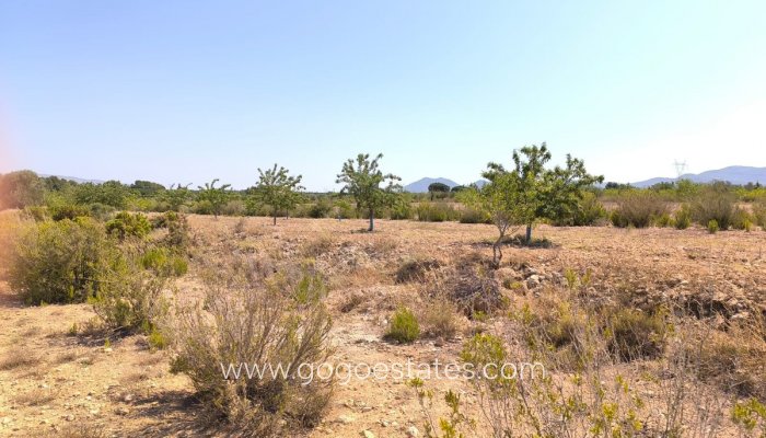 Te koop - Huis - Finca - Cortijo - Villena - Villena Centro