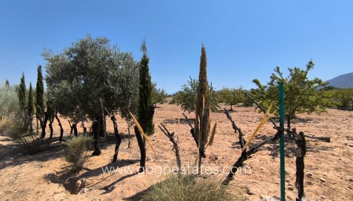 Te koop - Huis - Finca - Cortijo - Villena - Villena Centro