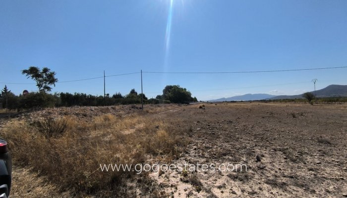 Revente - Terrain - Terrain - Pinoso - Pinoso Centro