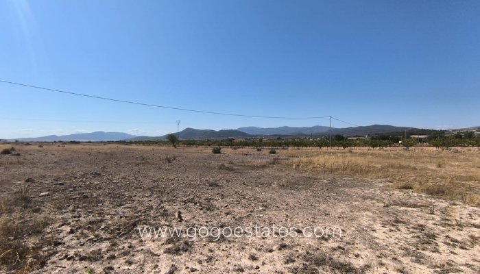 Revente - Terrain - Terrain - Pinoso - Pinoso Centro