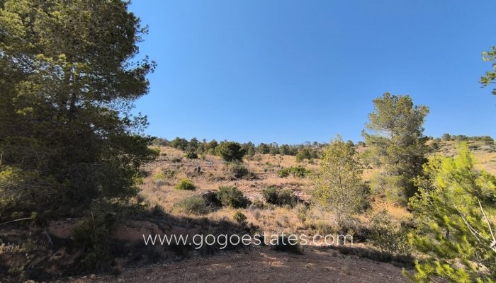 Te koop - Perceel - Land - La Romana - La Romana Centro