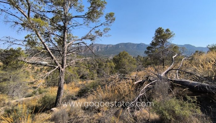 Te koop - Perceel - Land - La Romana - La Romana Centro