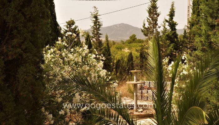 Te koop - Huis - Finca - Cortijo - Salinas - Salinas Centro