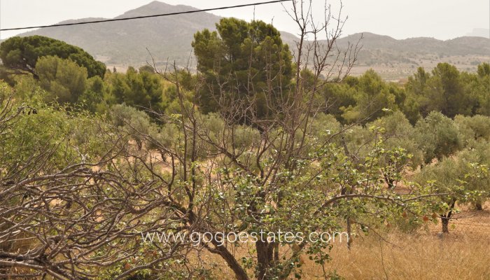 Te koop - Huis - Finca - Cortijo - Salinas - Salinas Centro