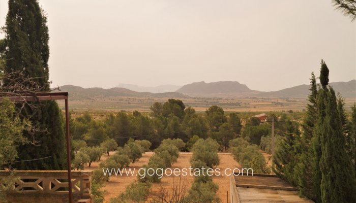 Te koop - Huis - Finca - Cortijo - Salinas - Salinas Centro