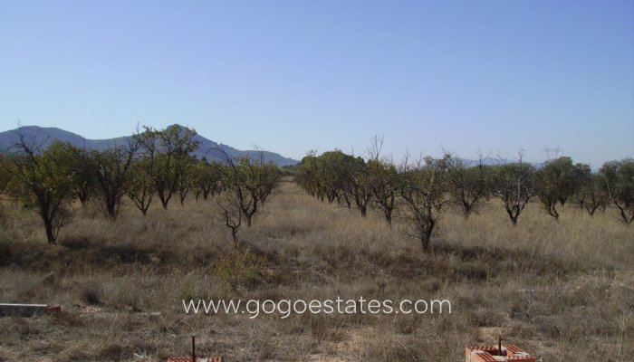 Te koop - Perceel - Land - Biar - Biar Centro