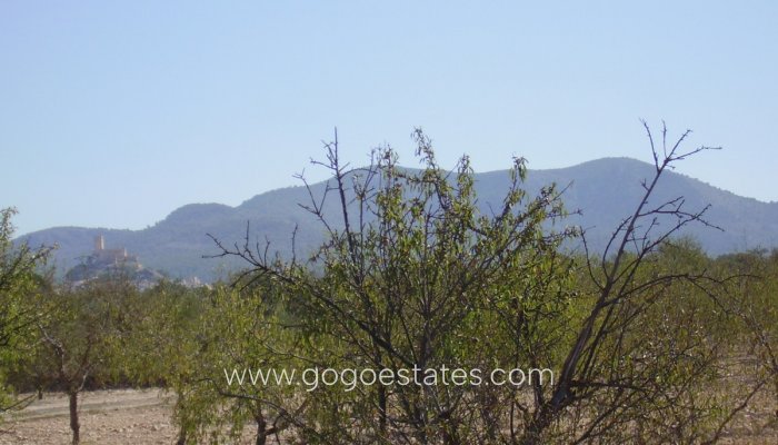 Te koop - Perceel - Land - Biar - Biar Centro