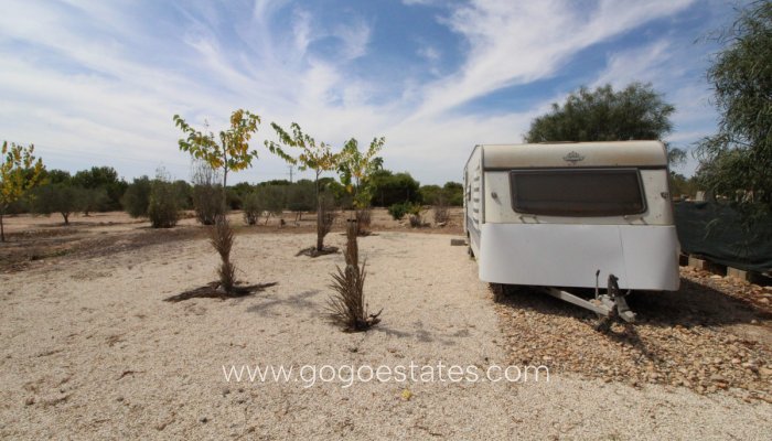 Te koop - Perceel - Land - Elche - Elche Centro