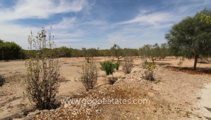 Te koop - Perceel - Land - Elche - Elche Centro