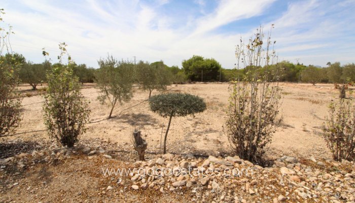 Te koop - Perceel - Land - Elche - Elche Centro