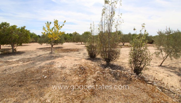 Te koop - Perceel - Land - Elche - Elche Centro