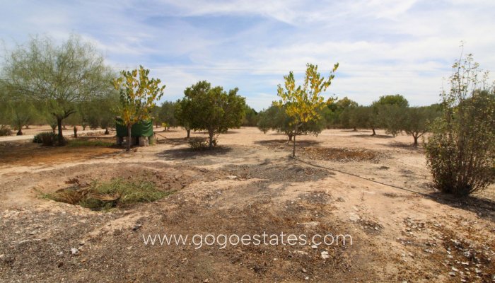 Te koop - Perceel - Land - Elche - Elche Centro