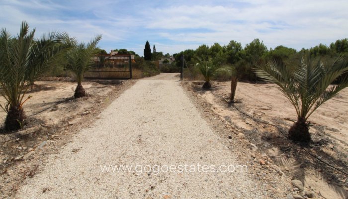 Te koop - Perceel - Land - Elche - Elche Centro