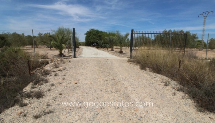 Te koop - Perceel - Land - Elche - Elche Centro