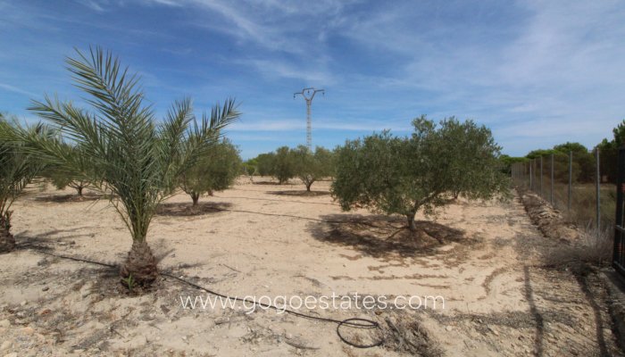 Te koop - Perceel - Land - Elche - Elche Centro