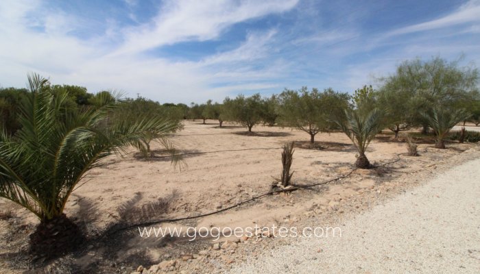 Te koop - Perceel - Land - Elche - Elche Centro