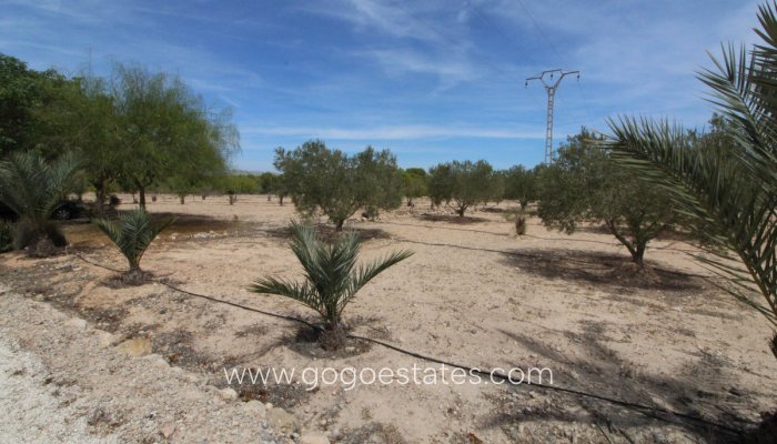 Te koop - Perceel - Land - Elche - Elche Centro