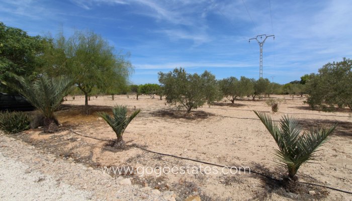 Te koop - Perceel - Land - Elche - Elche Centro