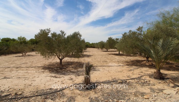Te koop - Perceel - Land - Elche - Elche Centro