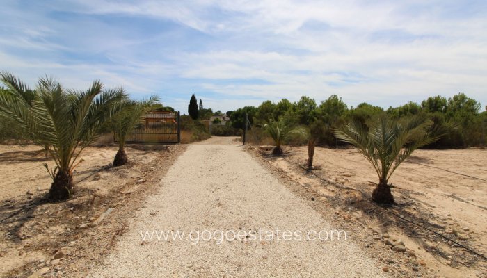 Te koop - Perceel - Land - Elche - Elche Centro