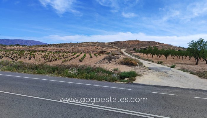 Revente - Terrain - Terrain - Pinoso - Pinoso Centro