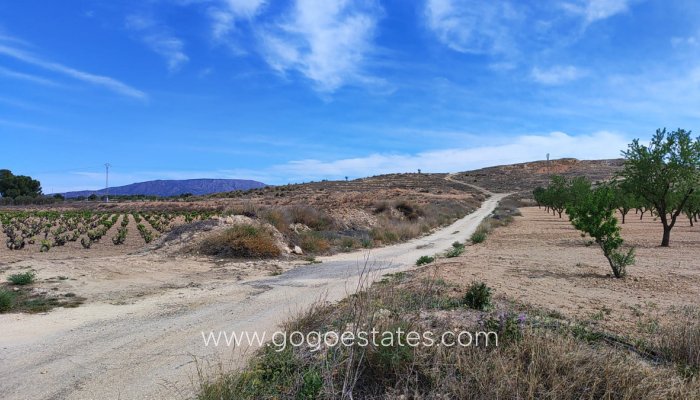 Revente - Terrain - Terrain - Pinoso - Pinoso Centro