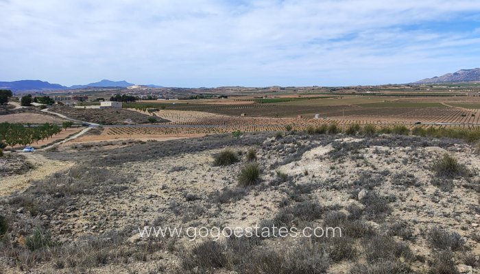 Revente - Terrain - Terrain - Pinoso - Pinoso Centro