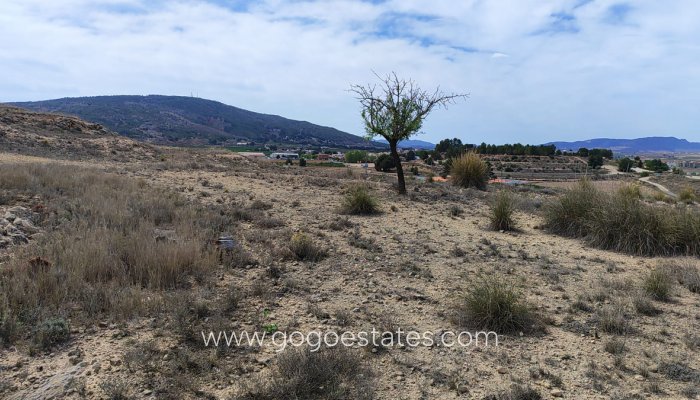 Revente - Terrain - Terrain - Pinoso - Pinoso Centro