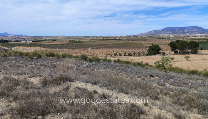 Revente - Terrain - Terrain - Pinoso - Pinoso Centro
