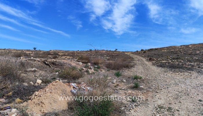 Revente - Terrain - Terrain - Pinoso - Pinoso Centro