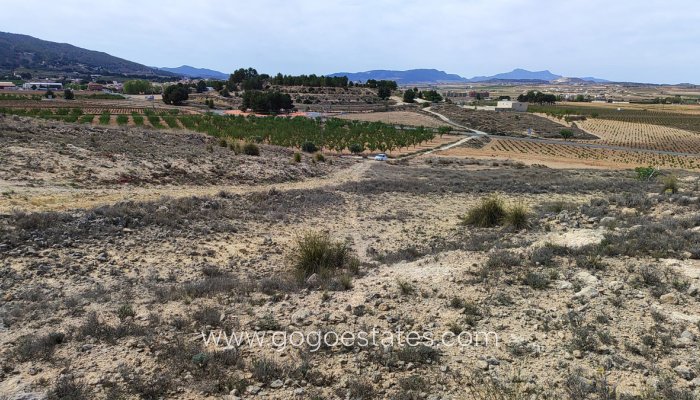 Revente - Terrain - Terrain - Pinoso - Pinoso Centro