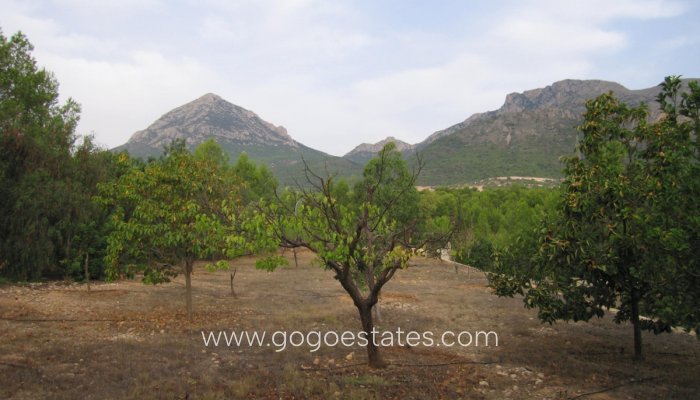 Te koop - Huis - Finca - Cortijo - La Nucía - La Nucia Centro